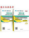 2019年经济师《中级经济师金融专业知识与实务》“梦想成真”系列应试指南+冲刺8套题