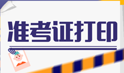 2019税务师准考证打印