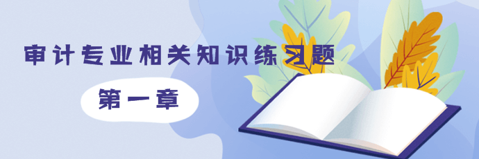 2019审计师《审计专业相关知识》第二部分第一章练习题摘选