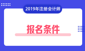 注册会计师报名条件2019