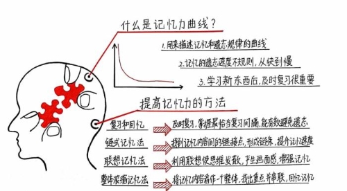 “注会知识点学完就忘怎么办？如何能提高记忆力？