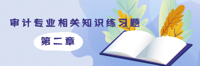 2019年初级审计师《审计理论与实务》第二部分第二章练习题摘选