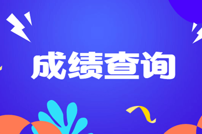 中级审计师成绩查询