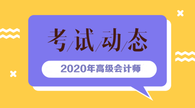 2020年新疆高级会计师考试方式