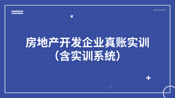 房地产开发企业真账实训