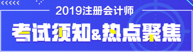 2019注册会计师考试专题