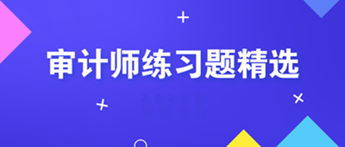 初级审计师练习题精选