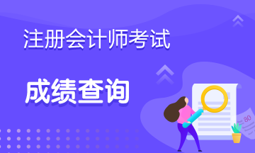 注册会计师成绩查询2019