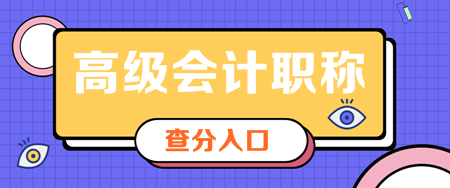 2019年内蒙古高级会计师考试成绩查询