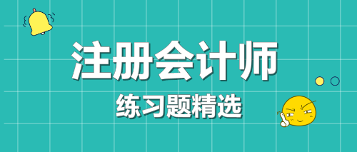 注册会计师练习题