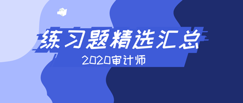 2020中级审计师《审计理论与实务》练习题精选汇总