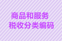 4个要点带你又快又准选择商品和服务税收分类编码