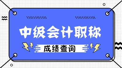 内蒙古2019年中级会计职称成绩查询入口