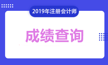 注册会计师成绩2019