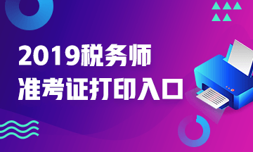 2019年税务师准考证打印入口