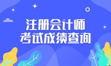 2019年湖北黄石注册会计师成绩查询时间