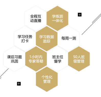 爽十一钜惠丨注会VIP签约特训计划口碑好课限时免息