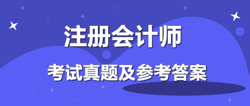 2019注会审计考试答案