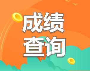 中级审计师成绩查询