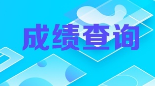 审计师成绩查询