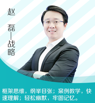 战略赵磊