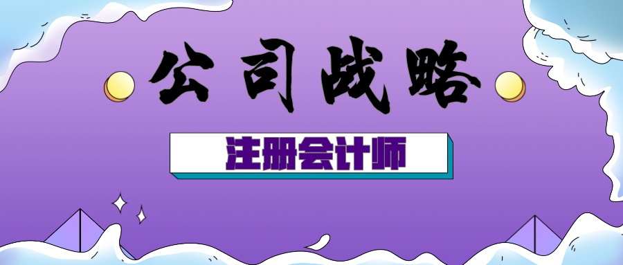 注会公司战略练习题