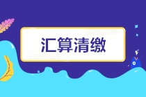 总局发布：居民综合所得个税年度汇算清缴自行申报指南