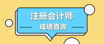  广东广州2019注会考试成绩查询时间