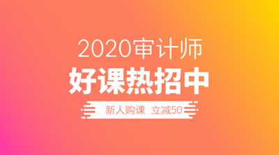 2020审计师招生文案