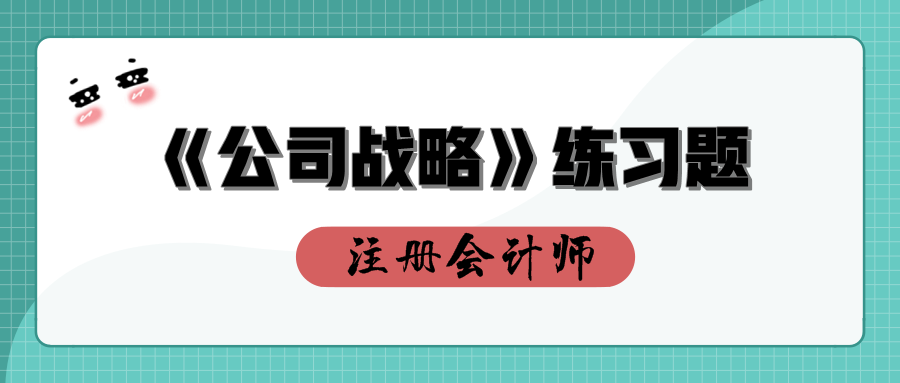 注会公司战略练习题