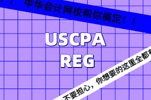 USCPA REG 知识点：个人所得税-穿透实体收入
