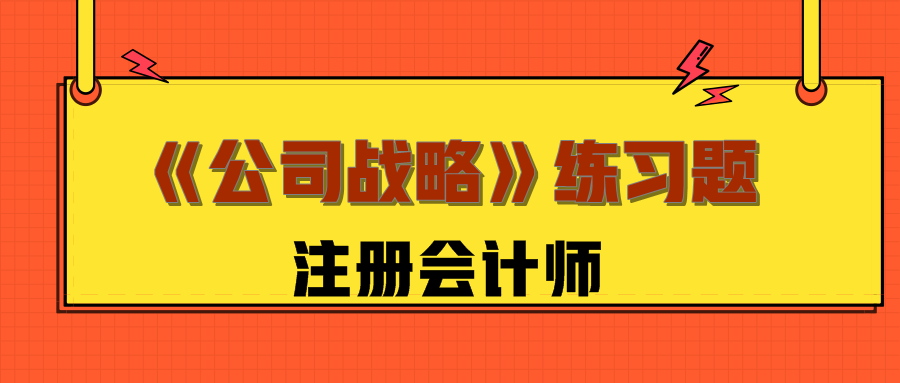 注会公司战略练习题