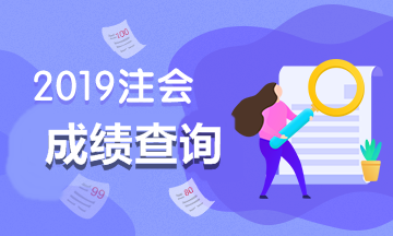 2019年宁夏cpa成绩查询时间