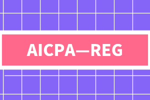AICPA—REG知识点：美国联邦司法审判体系