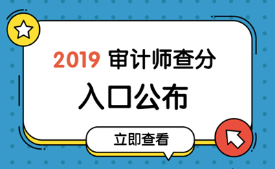 2019初级审计师成绩查询