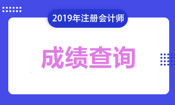 2019安徽合肥注会成绩查询时间