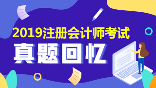 2019年注会会计及答案解析