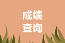 2019年广东会计高级职称成绩查询步骤