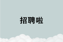 【招聘信息速递】初级考生、中级考生及注会考生看过来！