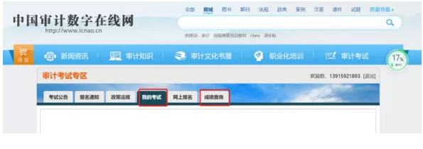 审计师成绩查询