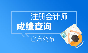 2020年云南注册会计师成绩查询网址