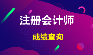 2019注册会计师成绩查询