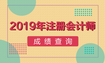 河北石家庄注会考试成绩查询