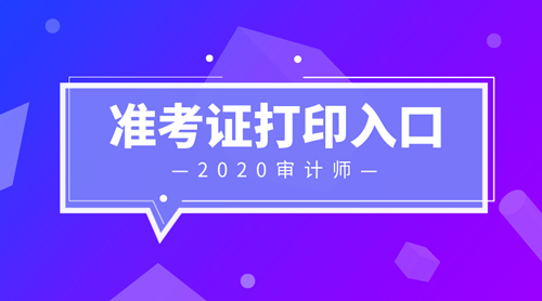 2020初级审计师准考证打印入口