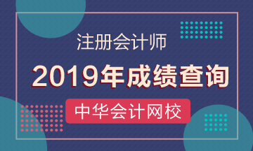 2019安阳cpa考试成绩查询入口