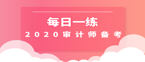 2020审计师每日一练