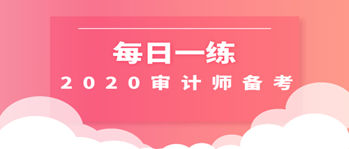 2020初级审计师考试每日一练免费测试（01.01）