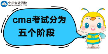 cma考试分为五个阶段！