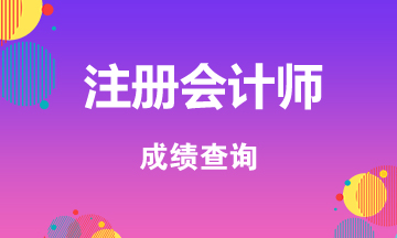 2019年重庆注册会计师考试成绩