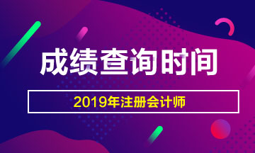 河南漯河2019年注会考试成绩查询